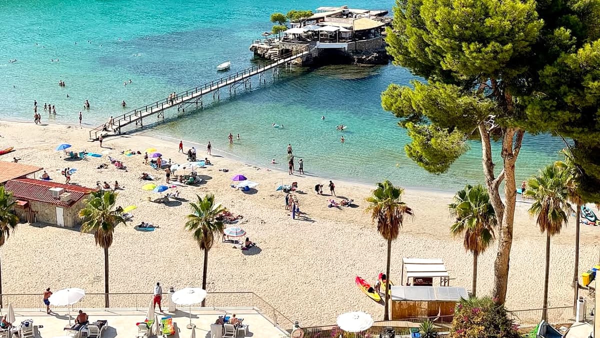 Camp de Mar beach from above in summer: a busy cove of pale sand with palms and parasols, the wooden footbridge running out to the islet restaurant in turquoise water, and villas on the pine headland behind