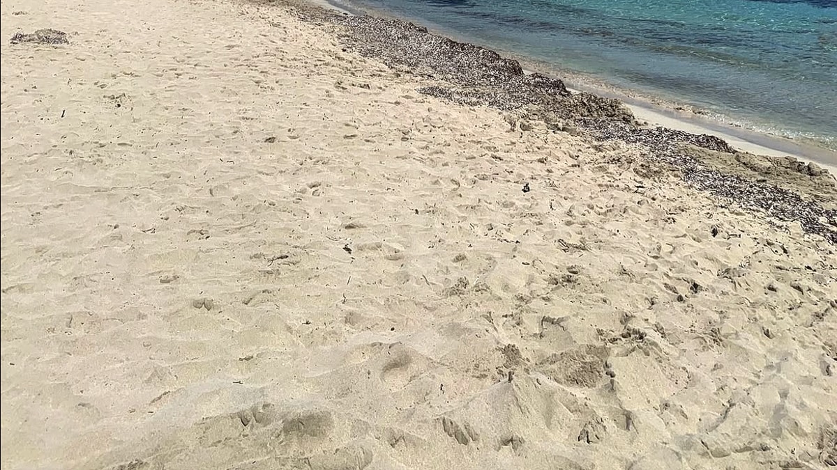 Landa Beach near Ayia Napa: pale golden sand sweeping towards a low rocky point, shallow turquoise water along the shoreline, and sunbeds with blue umbrellas down the beach with a white hotel in the trees behind
