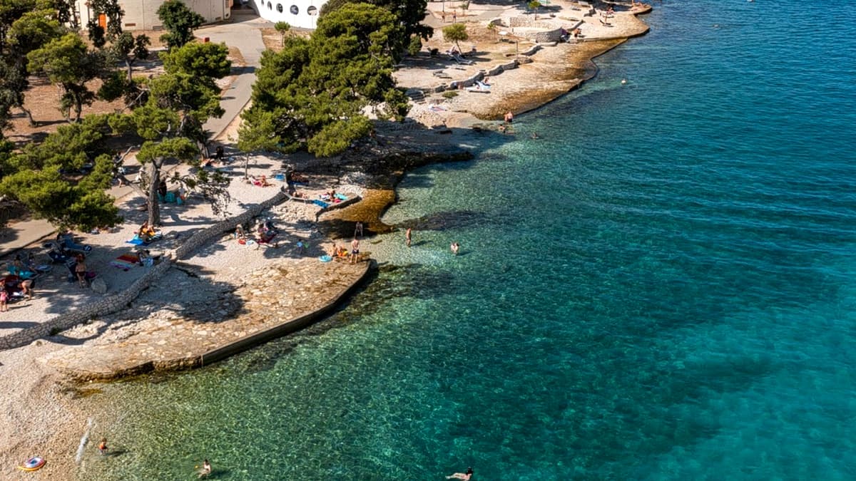 Aerial view of the Punta Skala peninsula at Petrčane, with Aleppo pine trees over the curving pebbly shoreline and swimmers in the clear Adriatic water below