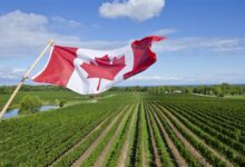 canada need farm workers