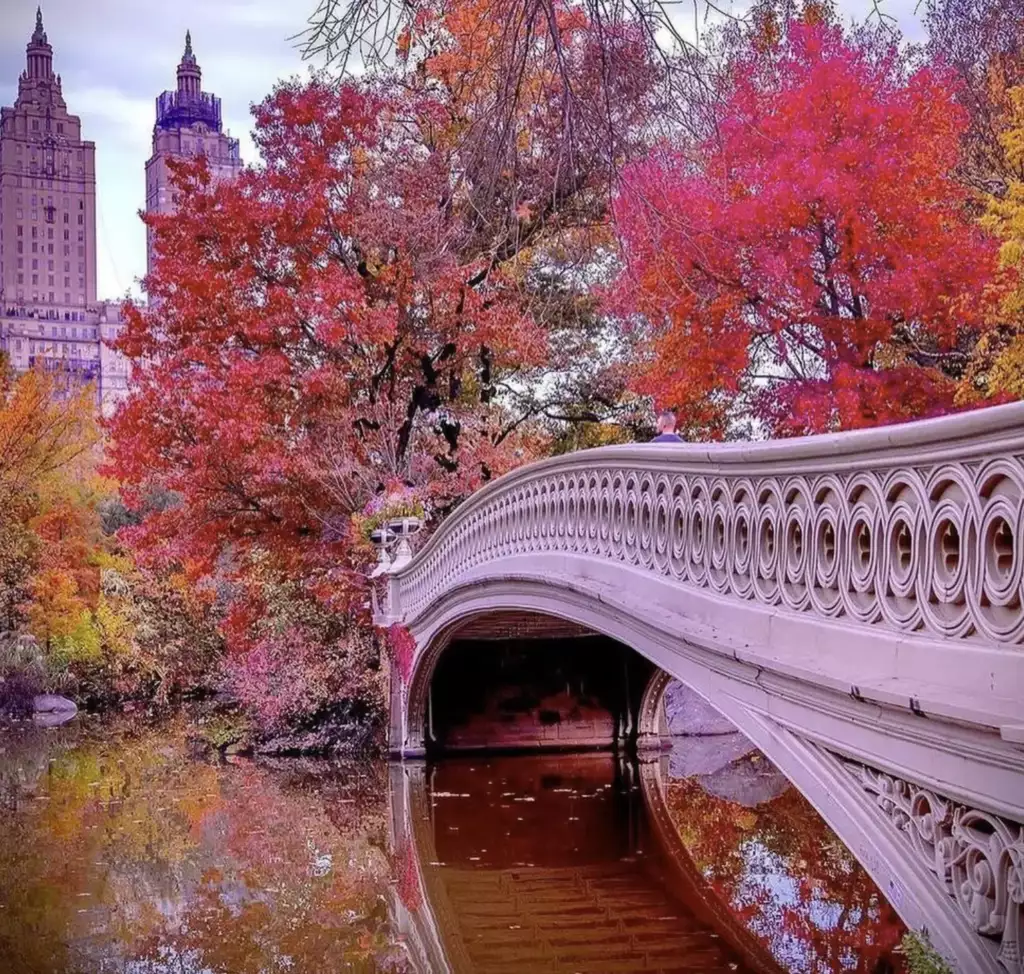 Best Season to Visit New York City